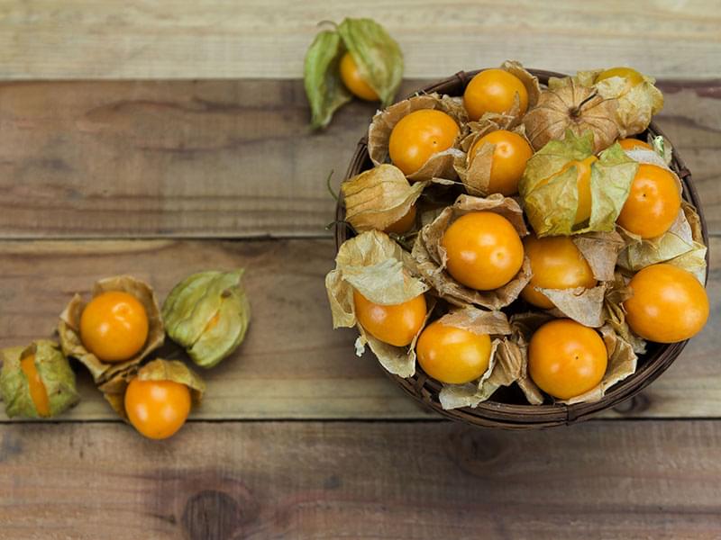 Ground cherries