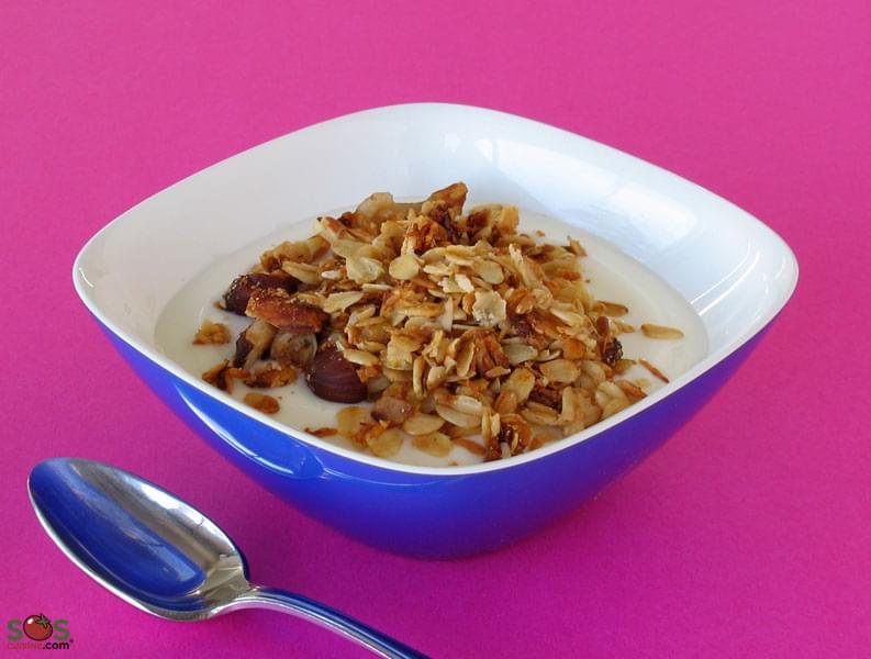 Fruit Yogurt  and Granola