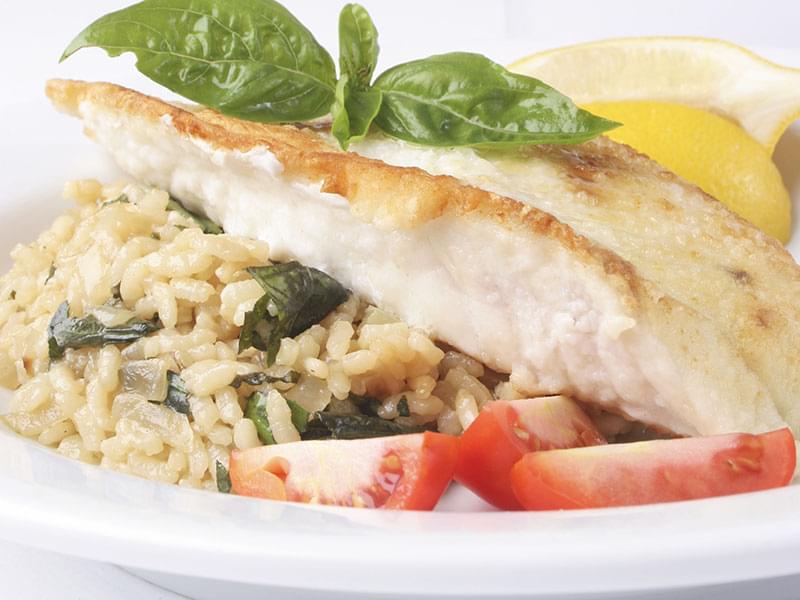 Filet de poisson grillé sur risotto citronné
